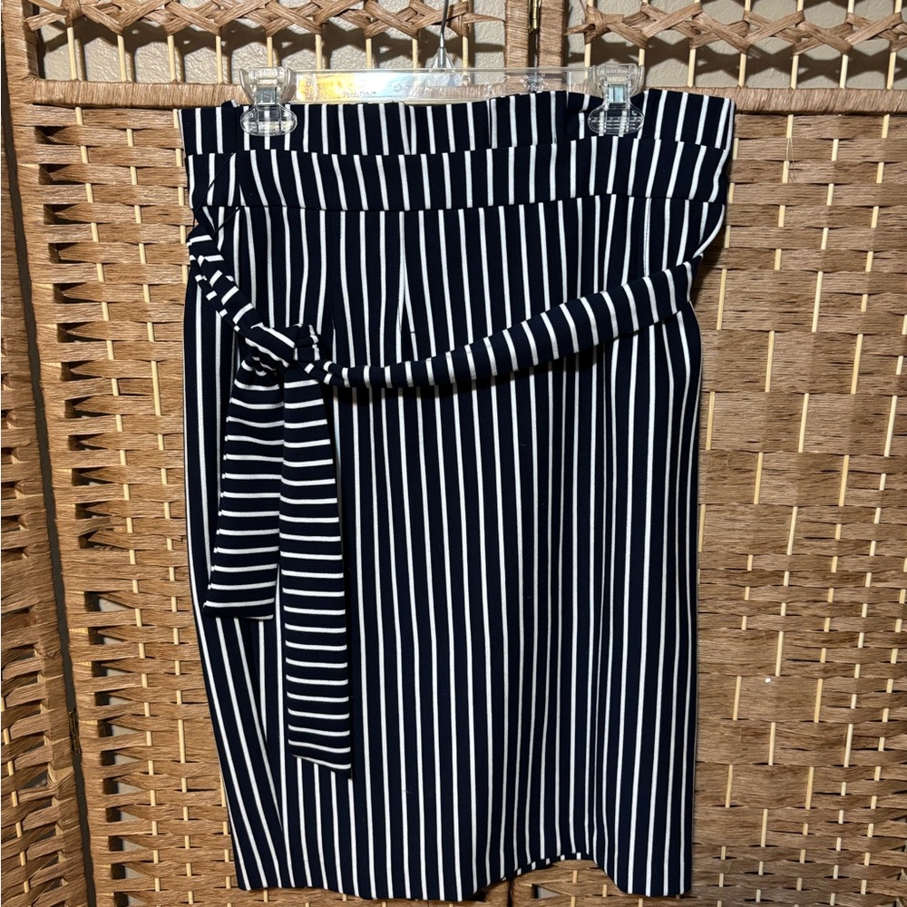 Striped Navy and White Women's Skirt